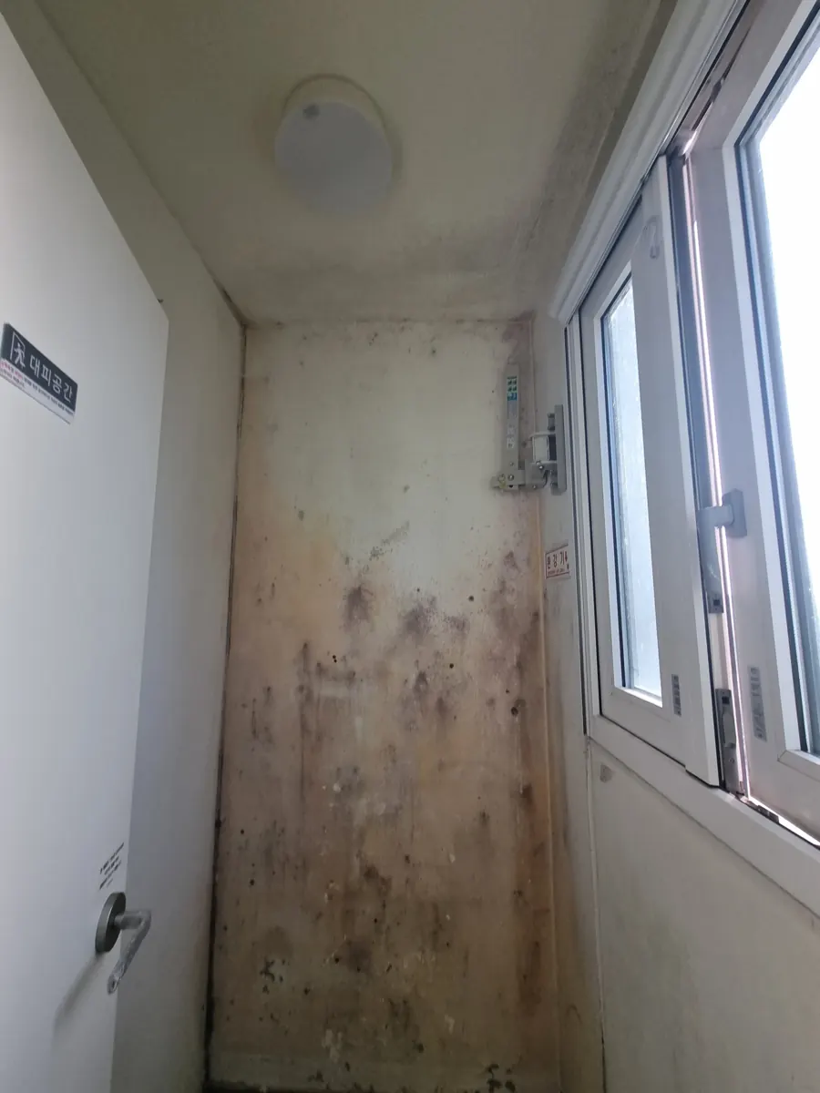 벽지곰팡이제거 창가 긴 벽면 전